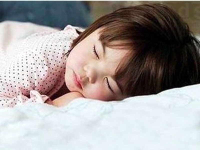 矯正孩子懶惰,青少年特訓學校