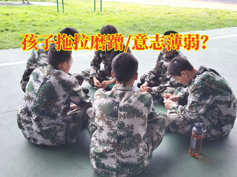 孩子拖拉,孩子不寫作業(yè)