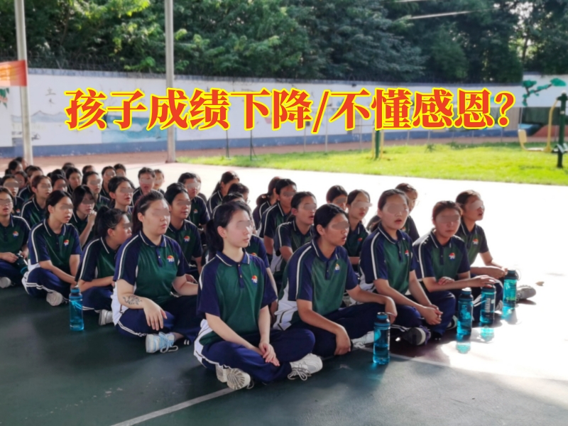 孩子成績(jī)下降,孩子成績(jī)不好