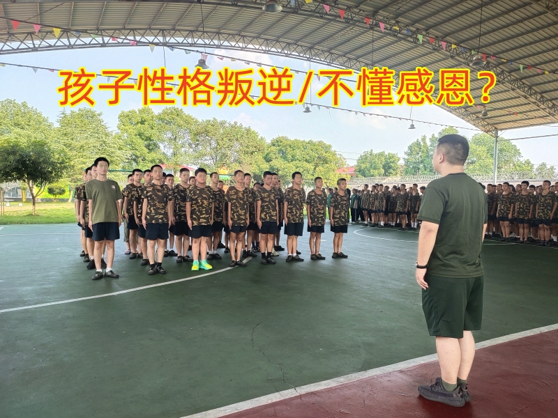 孩子不懂感恩,孩子叛逆不懂感恩