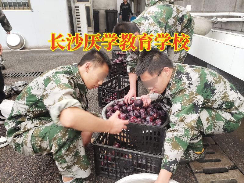孩子成績下降,青少年厭學學校