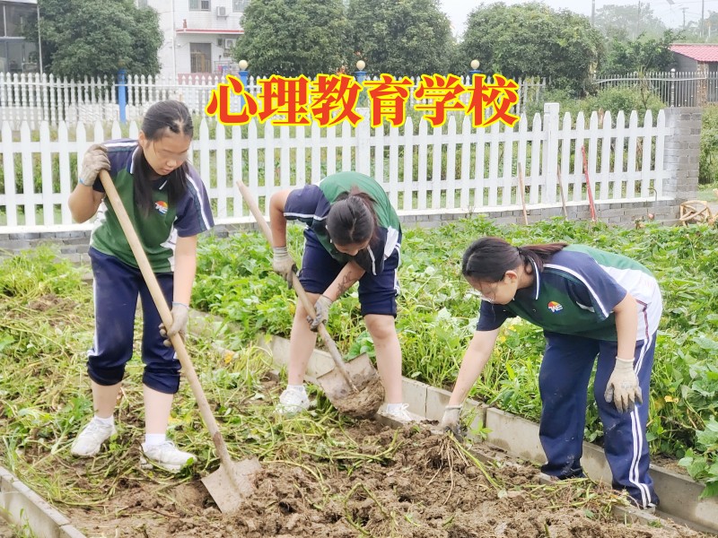 孩子不溝通,心理輔導學校