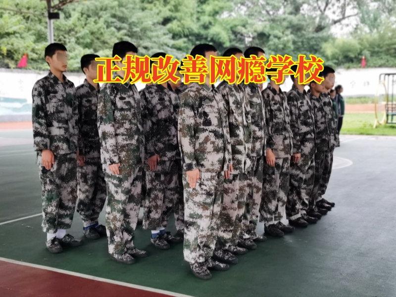 孩子迷上網絡小說,孩子沉迷小說
