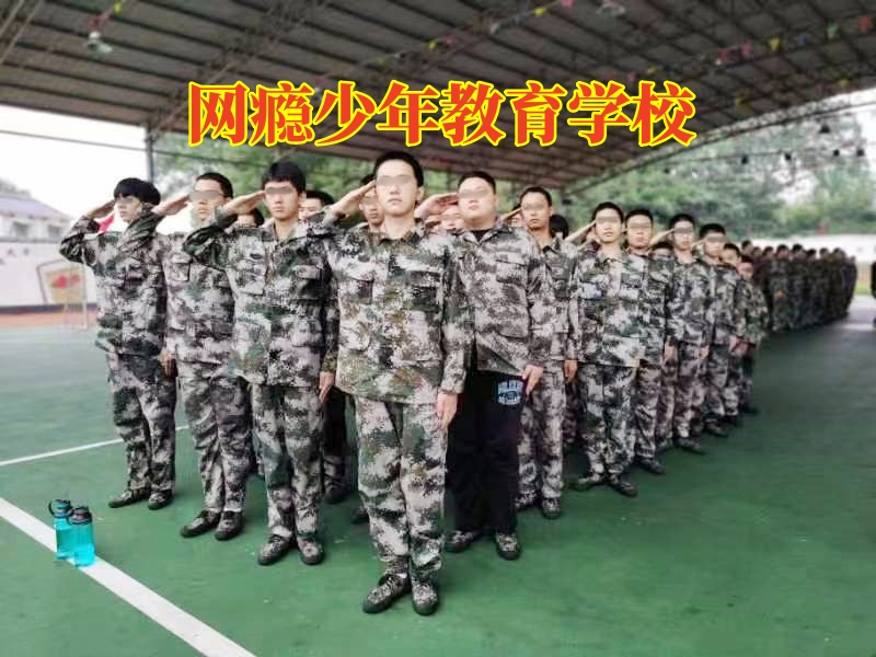 戒網癮學校,正規戒網癮學校