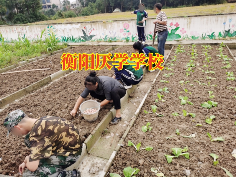 衡陽厭學學校，孩子輟學家長應該怎么幫助孩子進行糾正