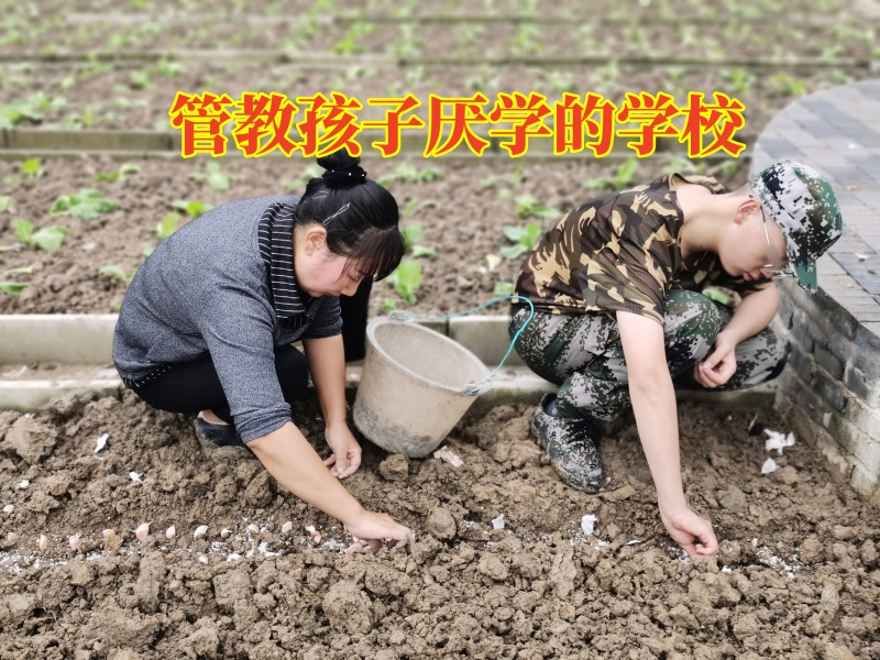 管教孩子厭學的學校，管教孩子厭學的學校矯正孩子成績下降問題