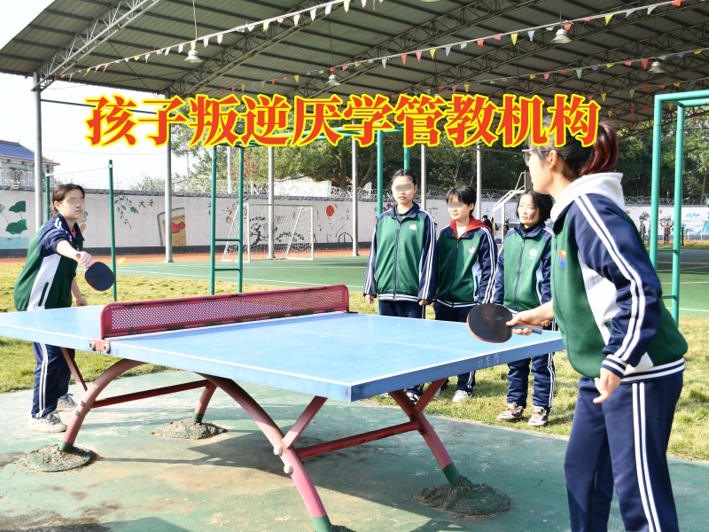 孩子叛逆厭學管教機構：如何勸輟學的孩子重新上學？
