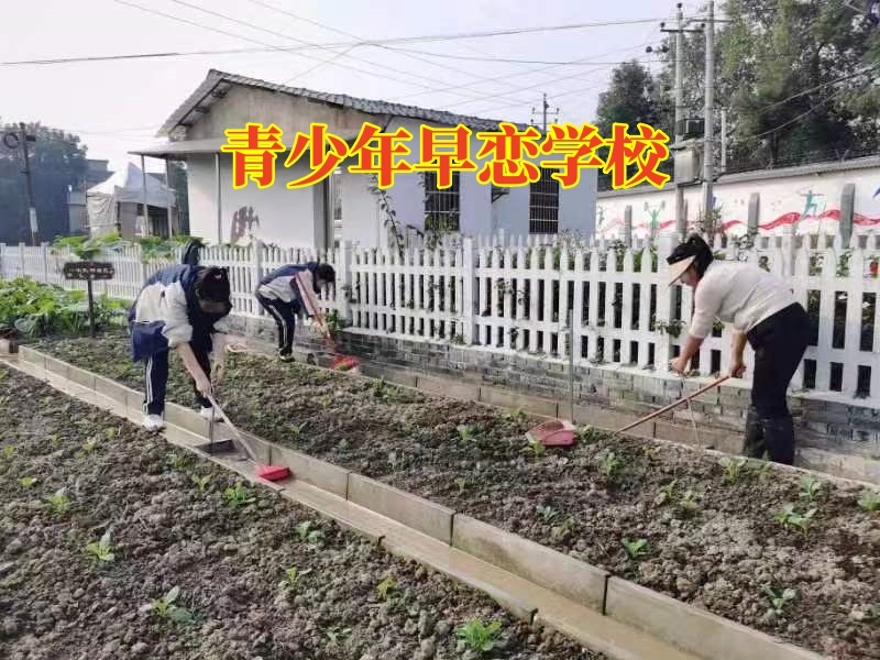 青少年早戀學校，青少年早戀學校：三個方法解決孩子網戀問題