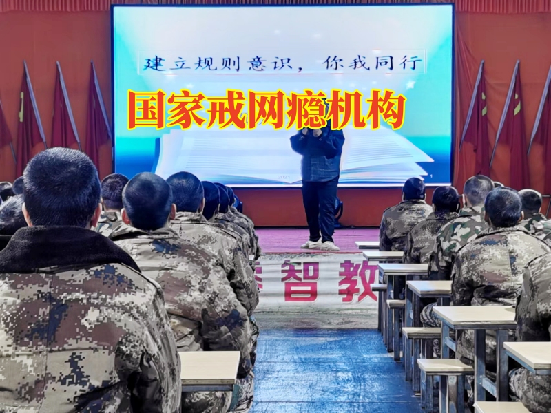 國家戒網(wǎng)癮機構(gòu)分析孩子沉迷手機的根源