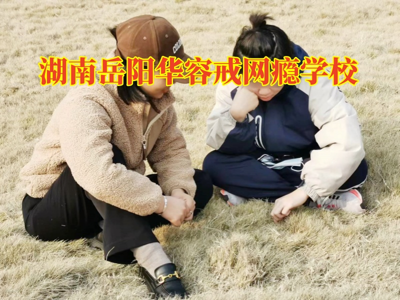 湖南岳陽華容戒網癮學校，湖南岳陽華容戒網癮學校對孩子沉迷手機的建議