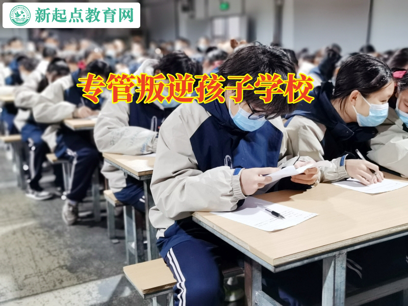 專管叛逆孩子學校，專管叛逆孩子學校教家長分析孩子為何總是易怒的原因