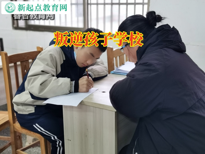 叛逆孩子學校對孩子叛逆怎么溝通的看法