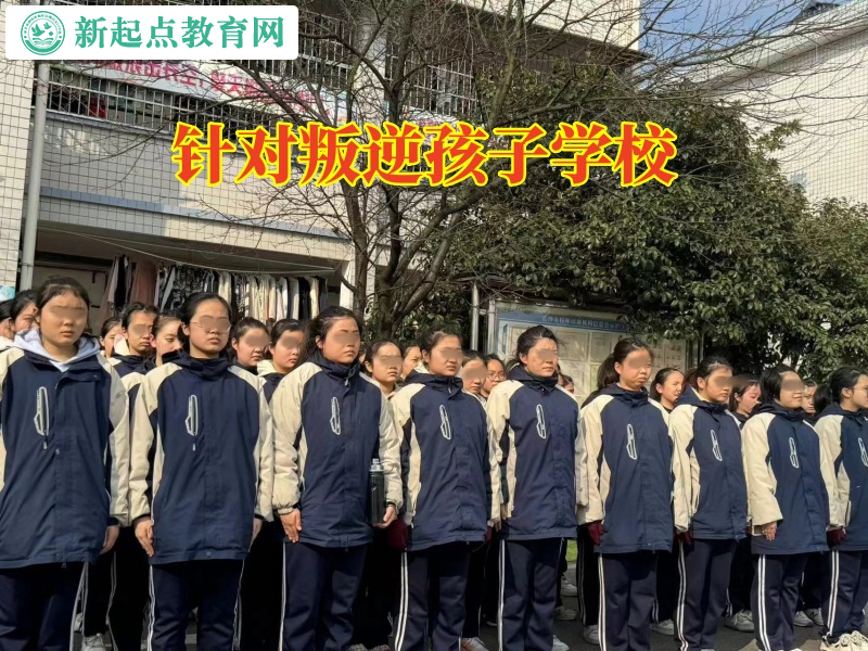 針對叛逆孩子學校，針對叛逆孩子學校分析孩子出現網戀行為的原因