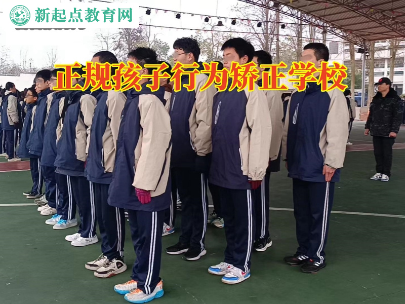 正規孩子行為矯正學校，正規孩子行為矯正學校孩子出現拔毛癖的原因