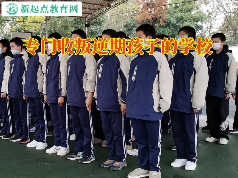 專門收叛逆期孩子的學校針對孩子愛看小說的建議