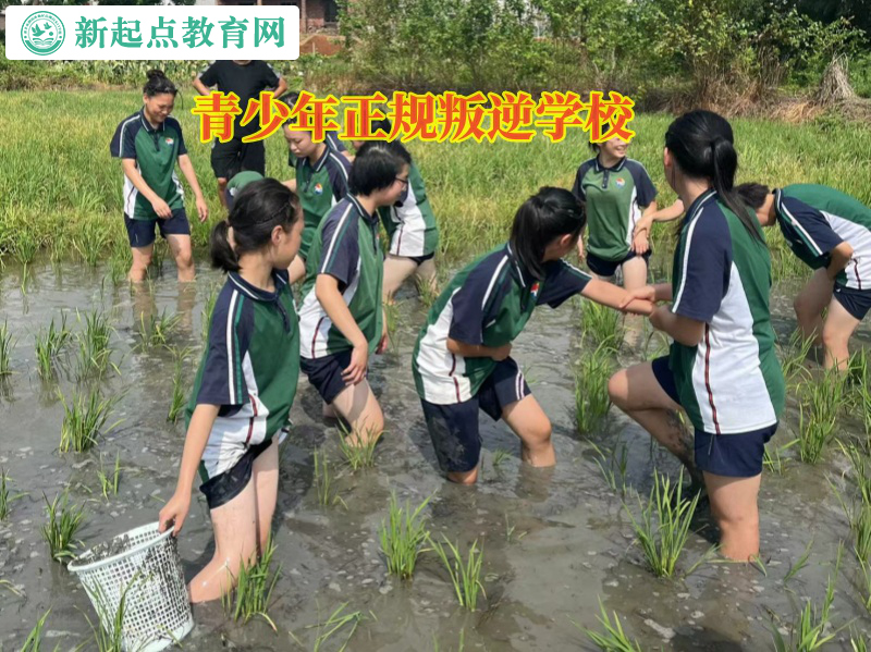 青少年正規(guī)叛逆學校矯正孩子厭學行為