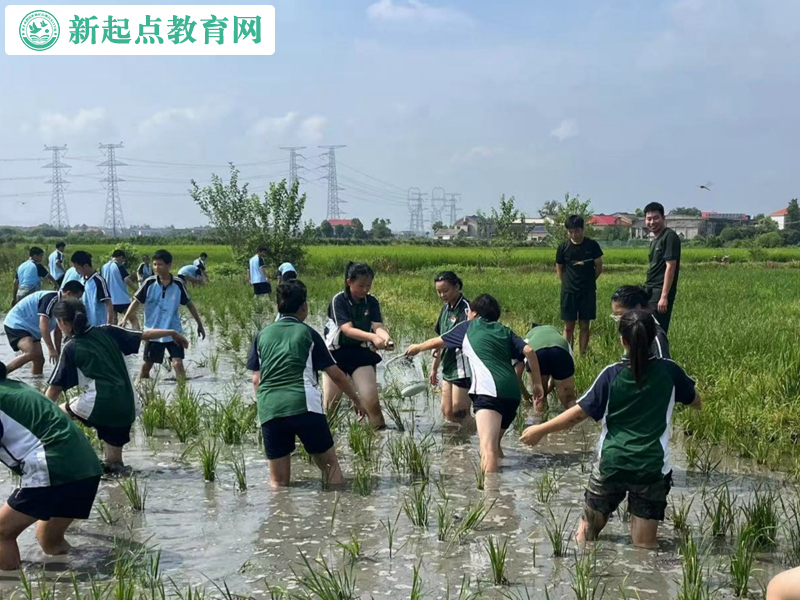 青少年叛逆改變學校組織抓魚活動