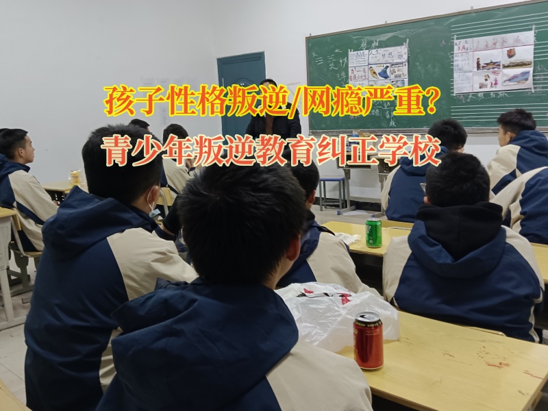 青少年叛逆教育糾正學(xué)校克服孩子的懶病