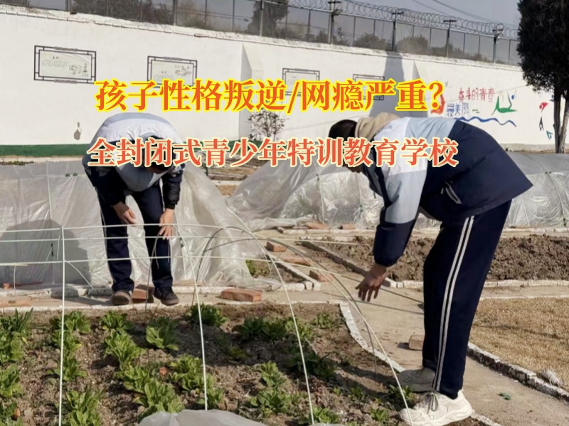 全封閉式青少年特訓教育學校幫助孩子遠離網絡色情
