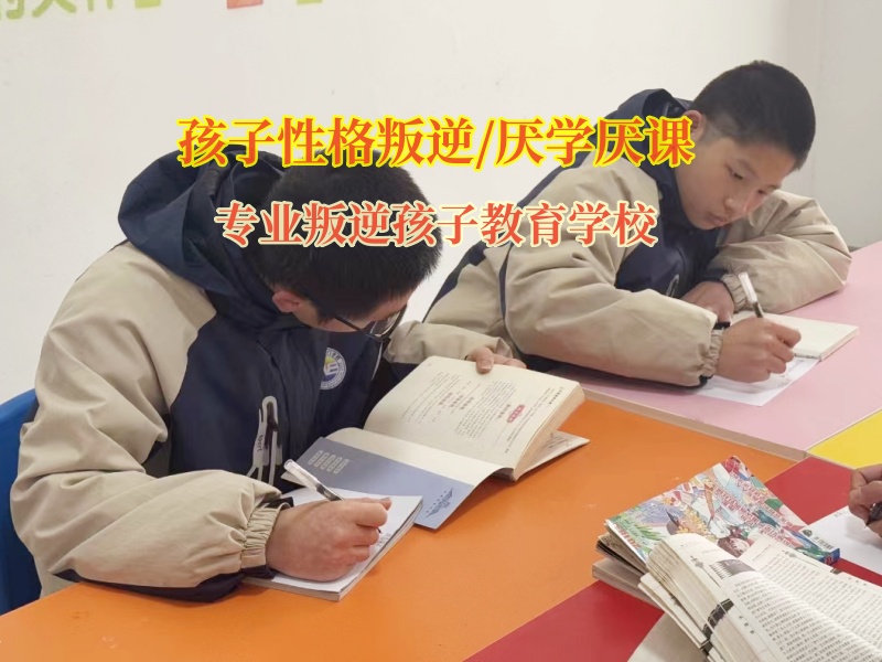 專業叛逆孩子教育學校幫助孩子重找學習的樂趣
