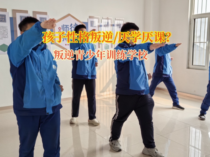 叛逆青少年訓練學校矯正孩子成績下滑問題