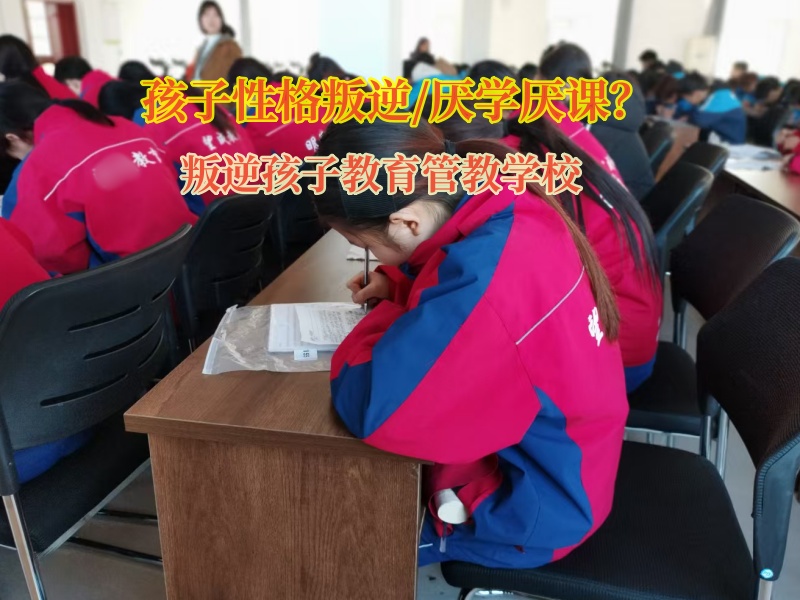 叛逆孩子教育管教學(xué)校引導(dǎo)孩子重新找回學(xué)習(xí)的動(dòng)力