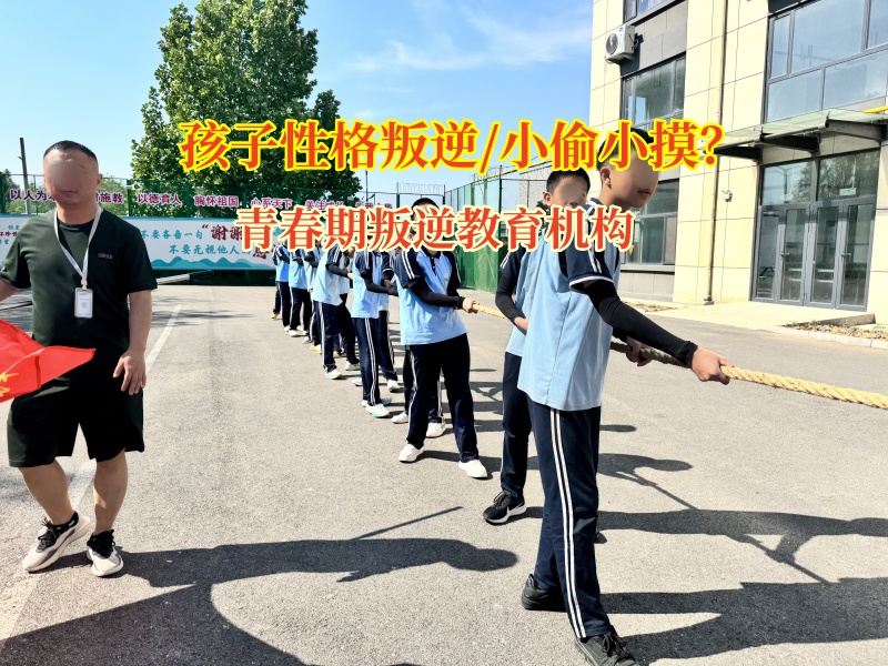 青春期叛逆教育機構智慧應對孩子偷竊行為