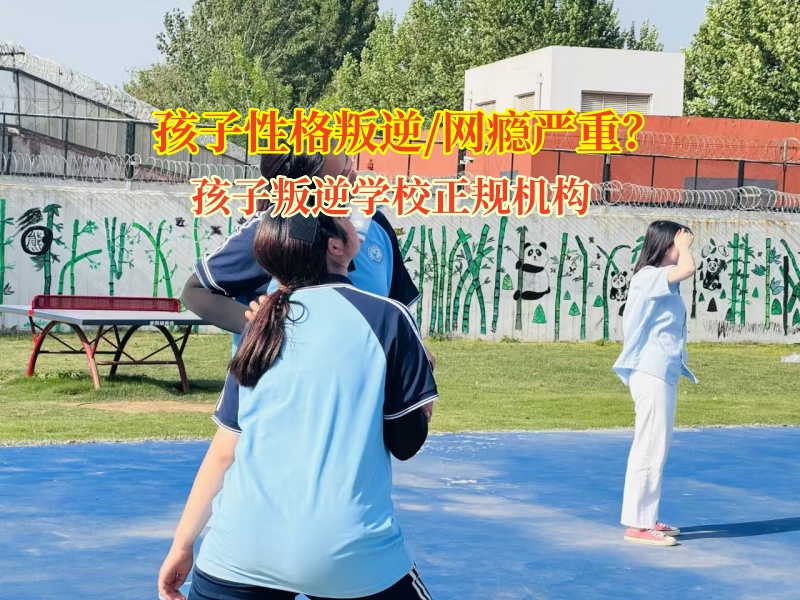 孩子叛逆學校正規機構科學應對孩子打罵父母行為