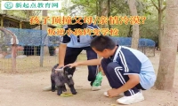 叛逆小孩轉變學校糾正孩子頂撞父母