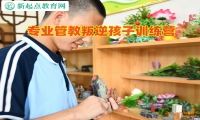 專業管教叛逆孩子訓練營矯正孩子打架斗毆問題
