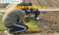 正規孩子管教學校培養孩子獨立能力