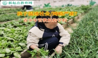 青少年管教機構學校矯正孩子跟著不良青年混社會