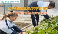 青少年叛逆正規全封閉學校矯正厭學孩子問題
