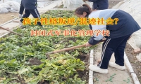 封閉式軍事化管理學校矯正孩子易怒的情緒