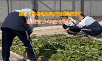 叛逆青少年改造學(xué)校矯正不服家長(zhǎng)管的孩子
