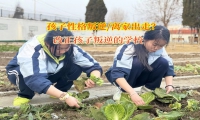 改正孩子叛逆的學校教家長如何應對孩子離家出走問題