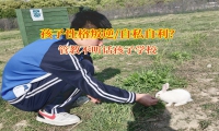 管教不聽話孩子學校引導孩子走出“自私”的困境
