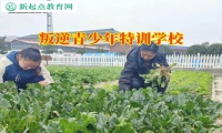 叛逆青少年特訓學校針對孩子拒絕溝通怎么辦的建議