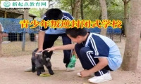 青少年叛逆封閉式學校三招解決孩子頂撞問題