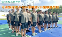 專業叛逆青少年學校教育網戀孩子的建議